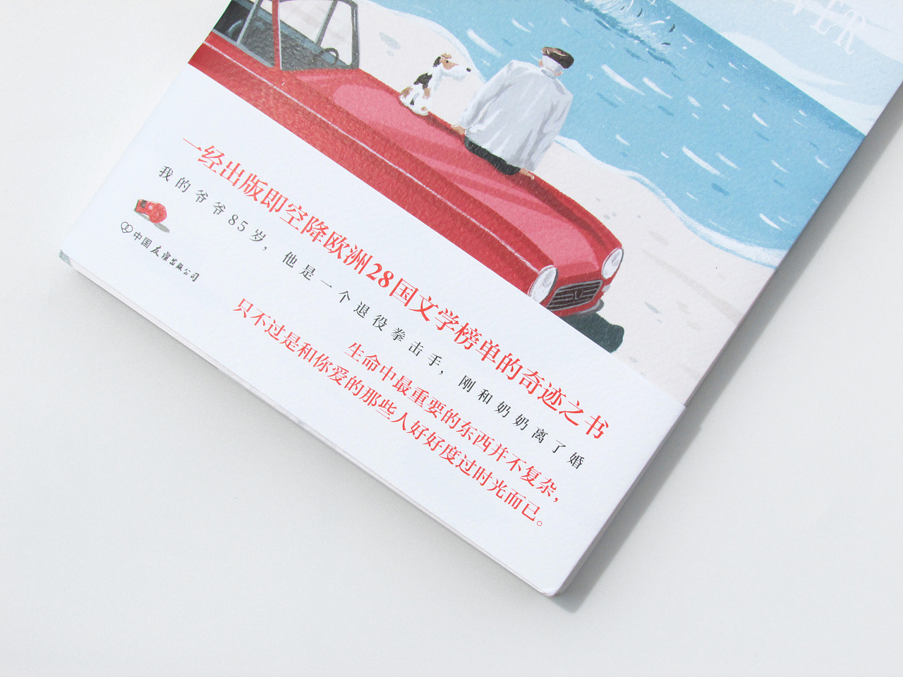 《永远的梭鱼》（图ZMTI3NDU3MDI0） - 商业插画 - 站酷设计师瓜里瓜里瓜里原创素材 - 站酷ZCOOL