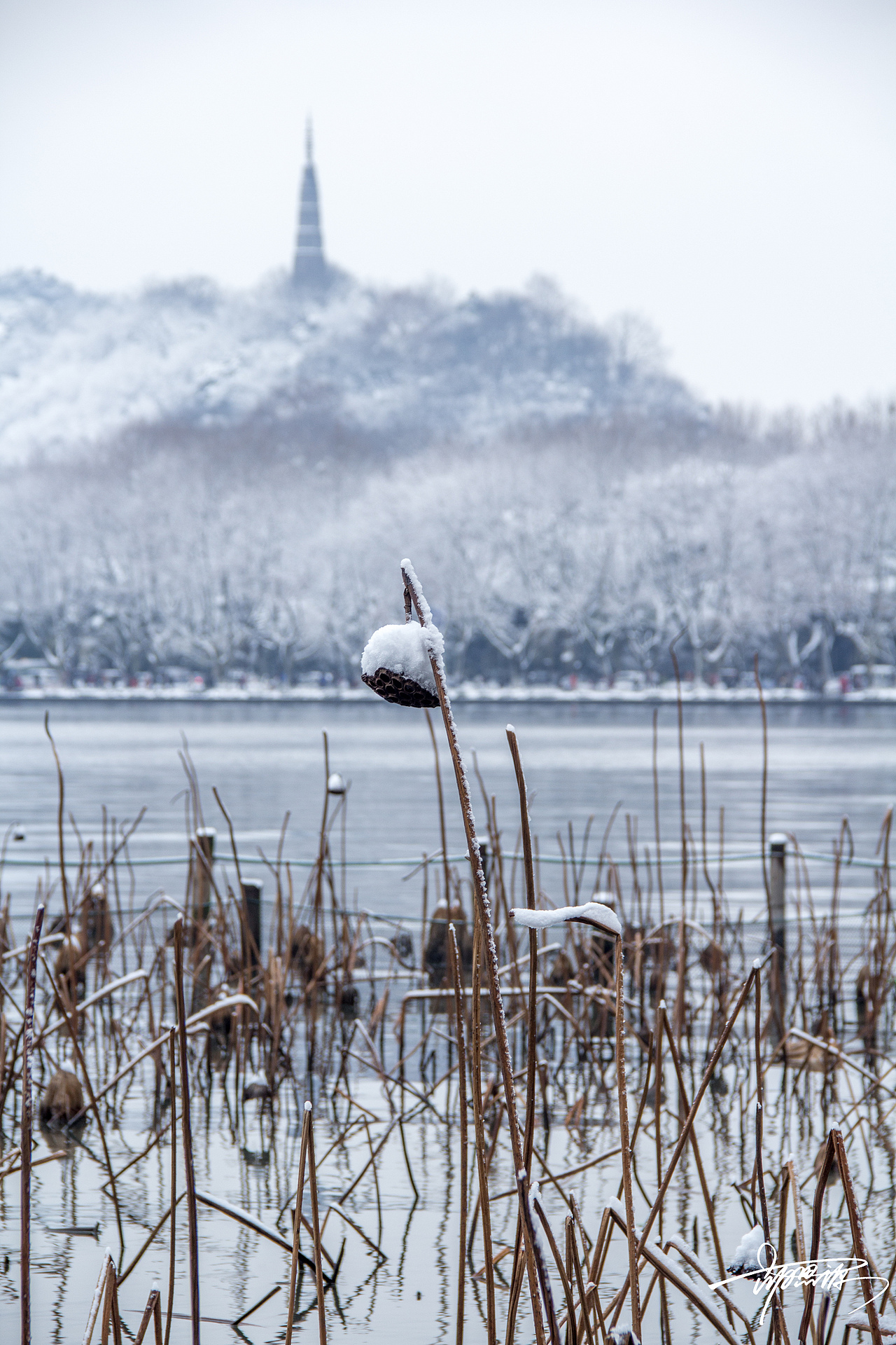 【印象西湖】杭州西湖风光摄影作品集