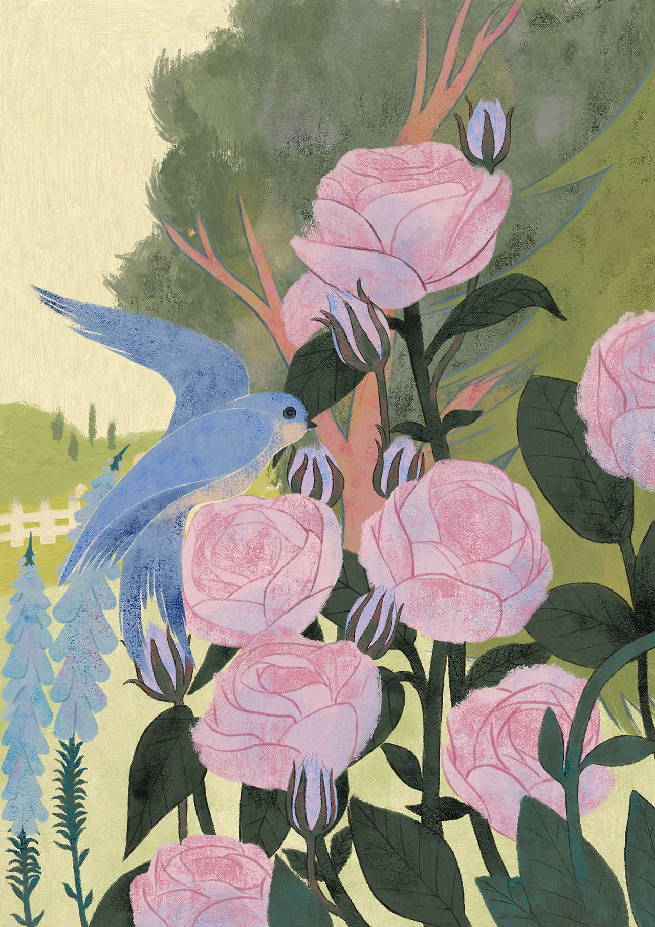 花园-习作|插画|艺术插画|koou88886_原创作品-站酷(zcool)