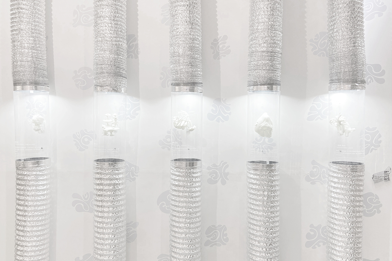 #2021青春答卷#DREAMWORK-梦所未见⚪️