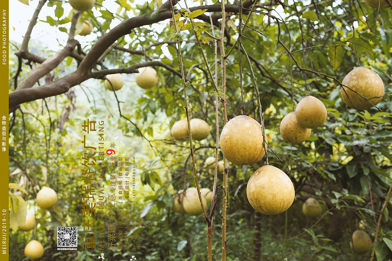 【重庆美瑞餐饮广告】重庆食品摄影-电商瓜果类（图ZMjE4NTQ3NTUy） - 产品摄影 - 站酷设计师重庆美瑞爆品摄影原创素材 - 站酷ZCOOL