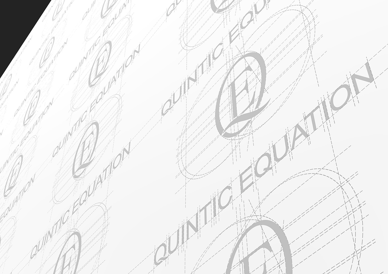 QUINTIC EQUATION 服装品牌(图ZMjY5MTAzNzY4) - 品牌 - 站酷设计师一个夏天x原创素材 - 站酷ZCOOL