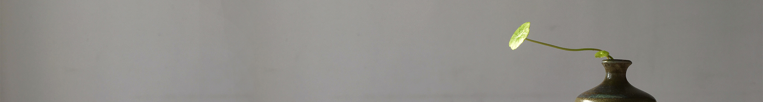 土坡儿的个人主页（封面预览） - 主页封面设置 - 站酷设计师土坡儿原创素材 - 站酷ZCOOL