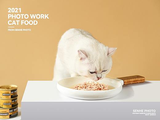 猫粮摄影 | 萌物饲养员品质宠物粮