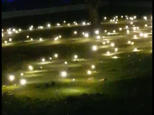 户外草坪萤火虫灯互动仿真萤火虫灯生产工厂铭星厂家