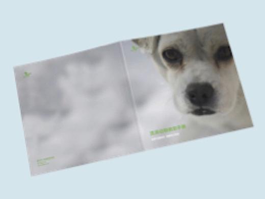 流浪动物救助手册 Rescue Manual for Stray Animals