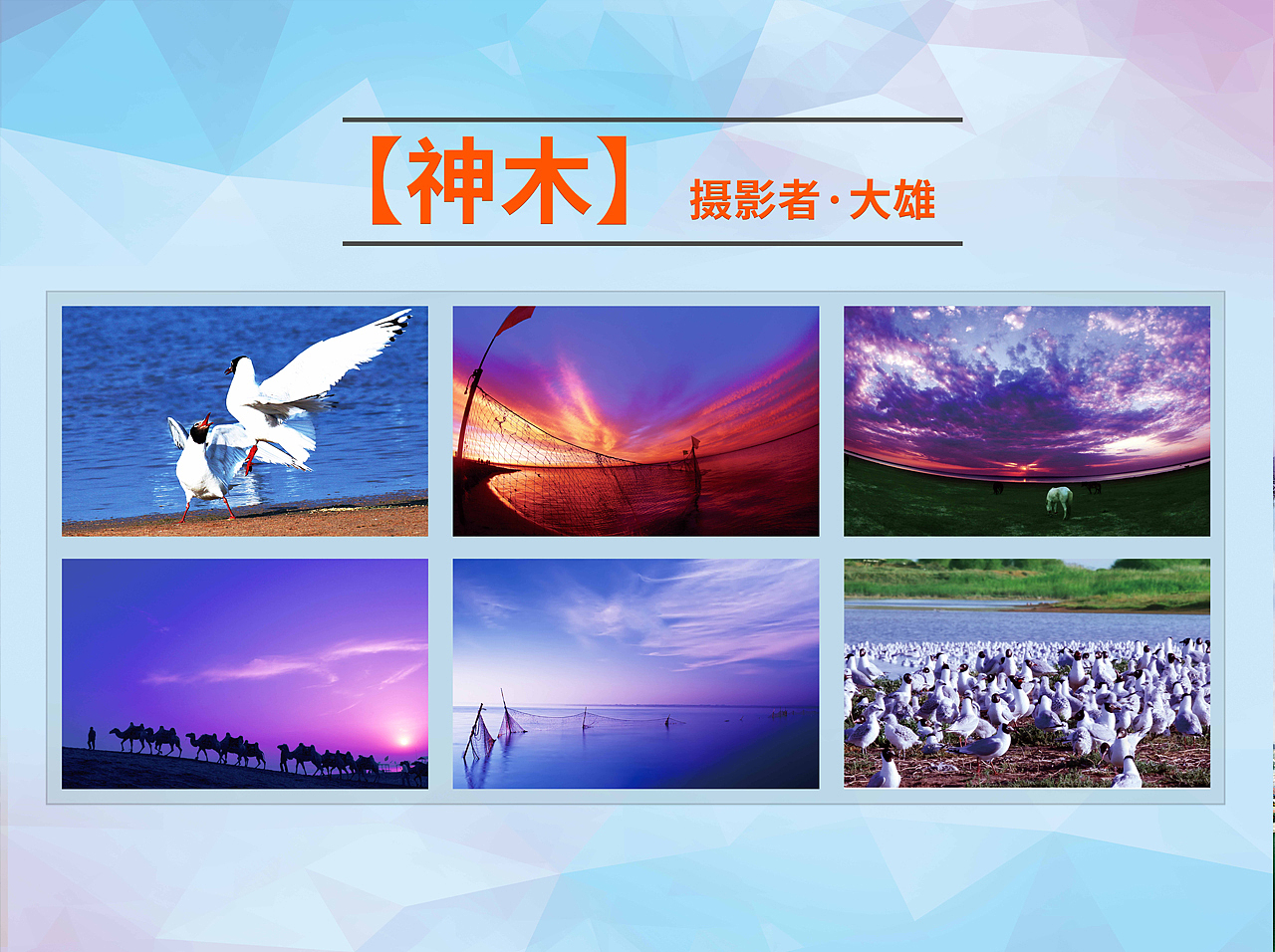 神木红碱淖PPT制作（图ZNDQ3NDU4OTI=） - 文案/策划 - 站酷设计师匆匆太匆匆原创素材 - 站酷ZCOOL