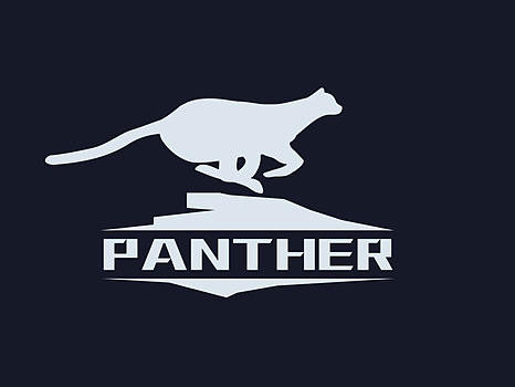 猎豹奔跑动效 Exercise（个人主页-ZMjc3OTkwNzI=） - 动效设计 - 站酷设计师饭团1990原创素材 - 站酷ZCOOL