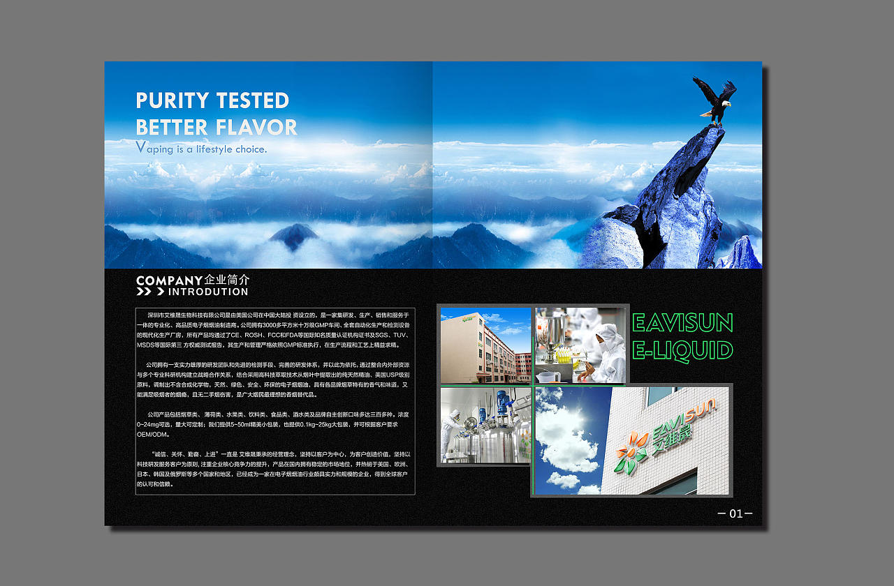 画册内页公司介绍