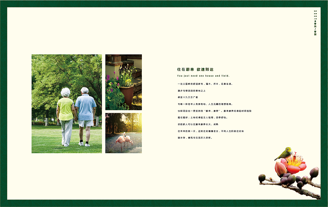 康养项目地产楼书（图ZMTY1NjIzNjI4） - 书籍/画册 - 站酷设计师小寒公社原创素材 - 站酷ZCOOL