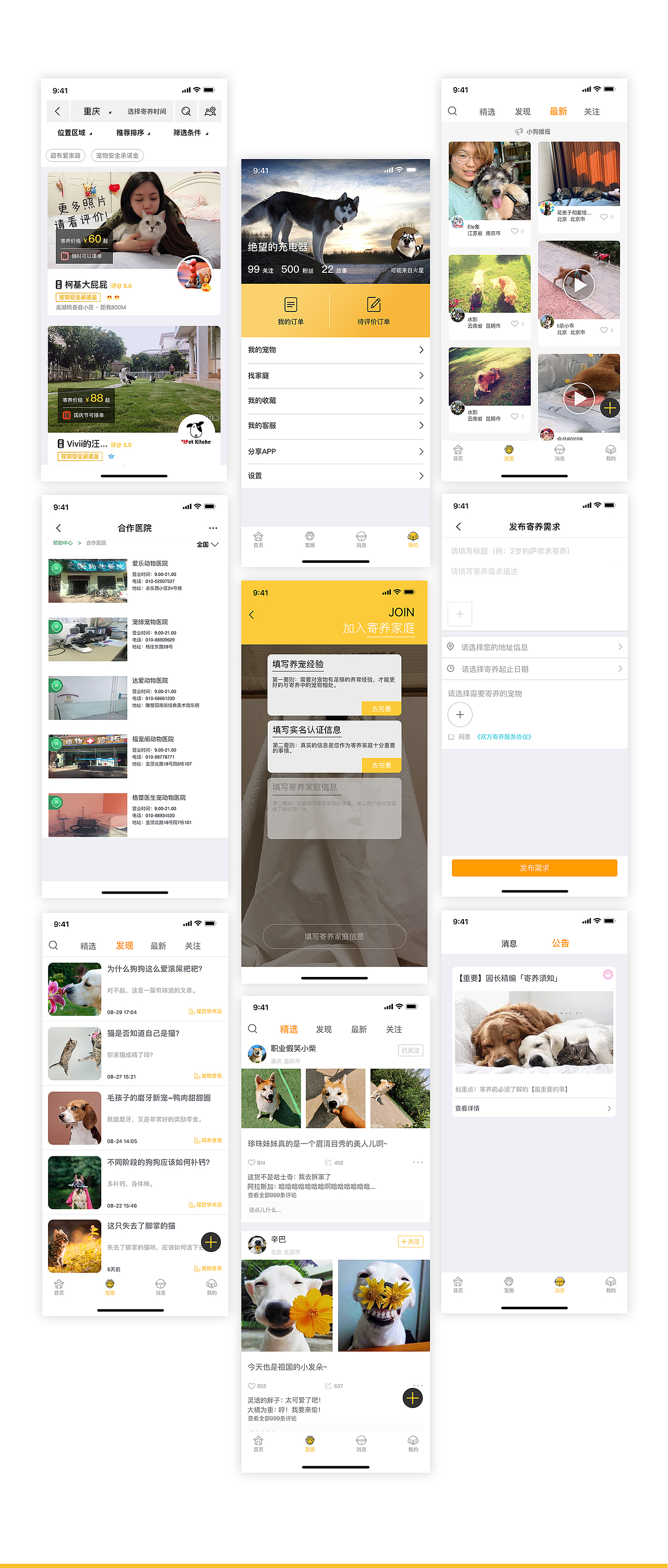 阿猫阿狗APP