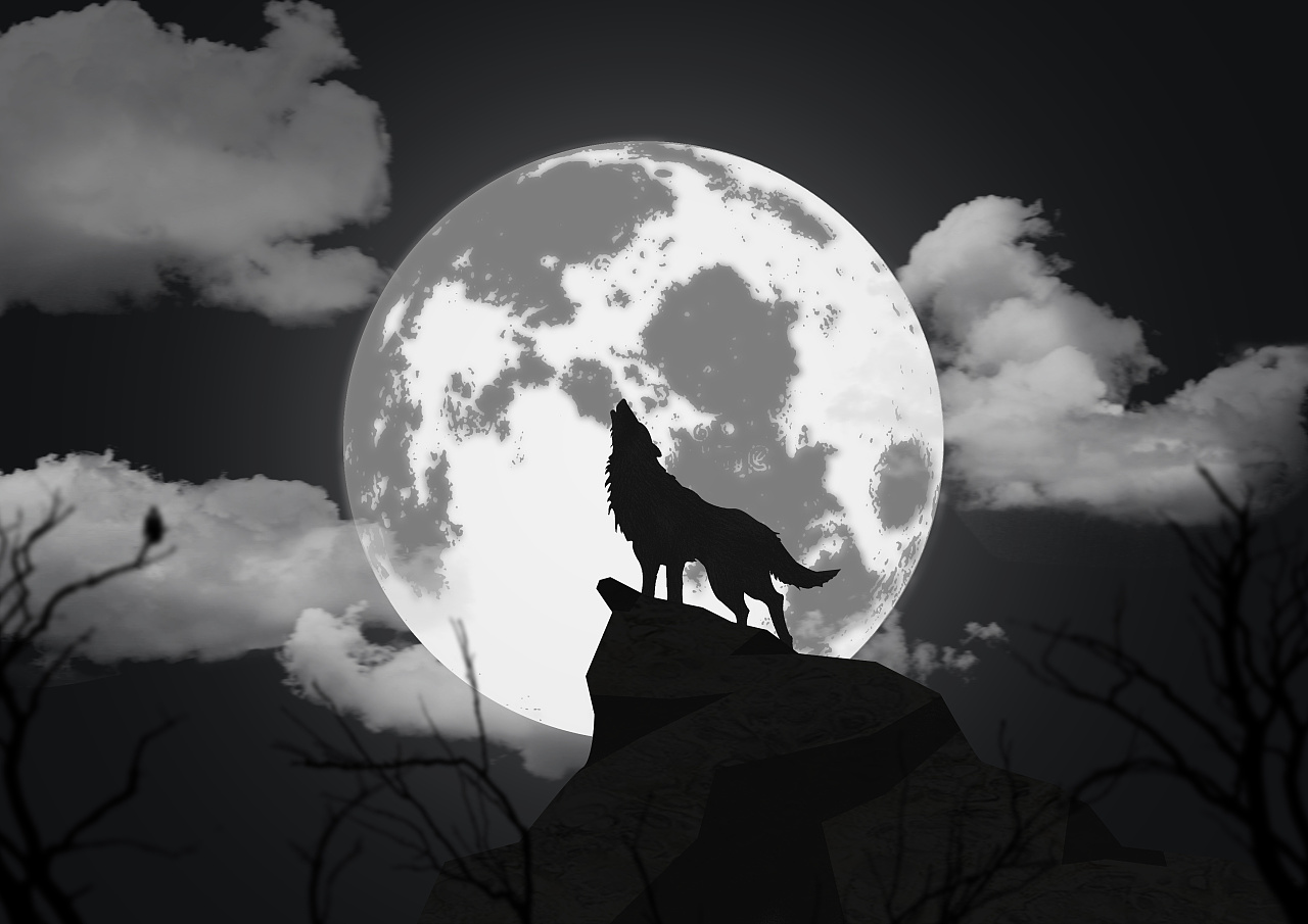 黑暗的夜晚，狼对着月亮嚎叫照片摄影图片_ID:307678904-Veer图库