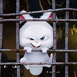筱筱影视后期的头像