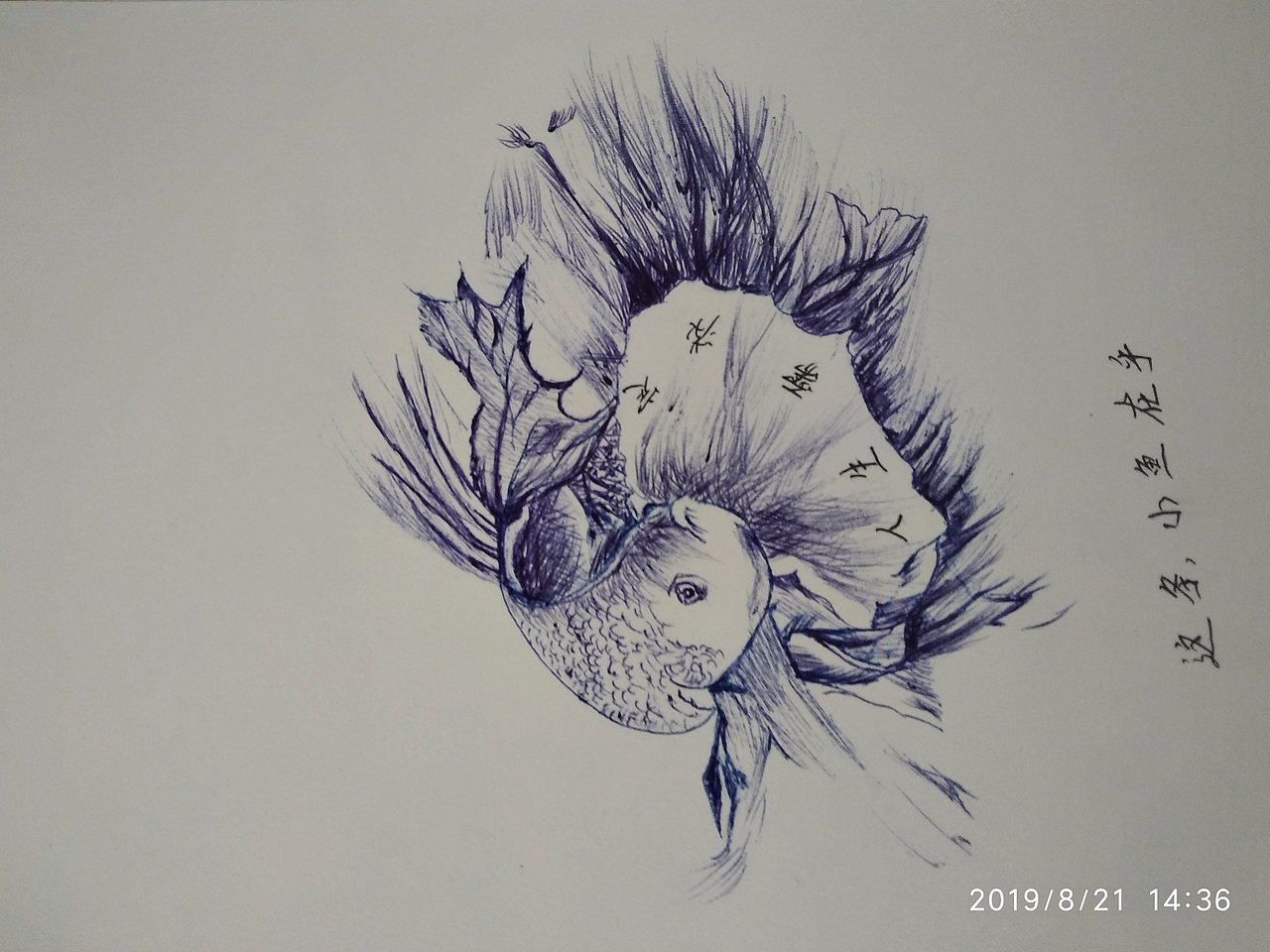 生活有时的专注  