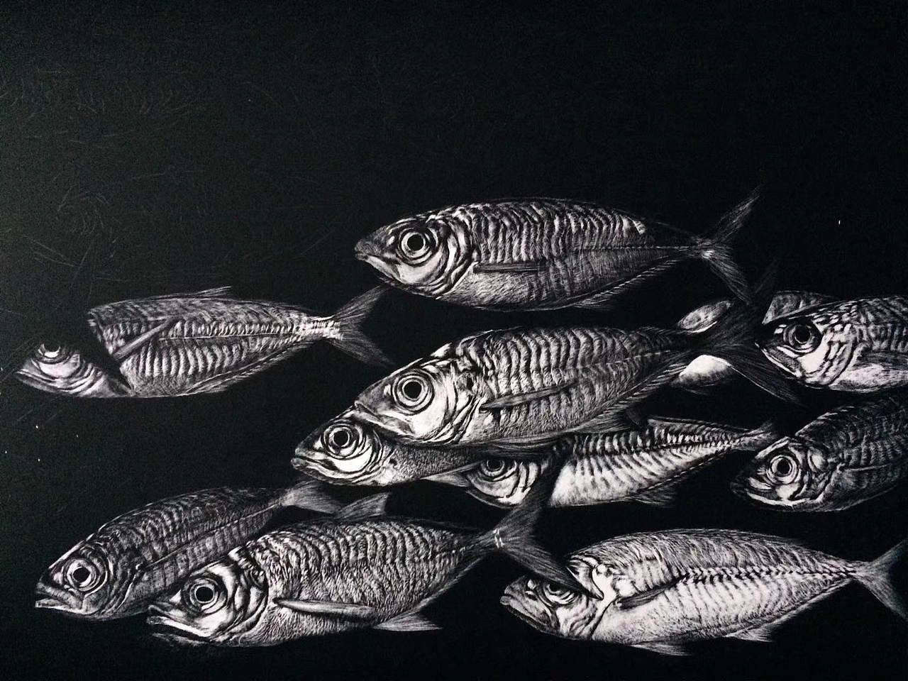 李子哥刮画作品《好多鱼》