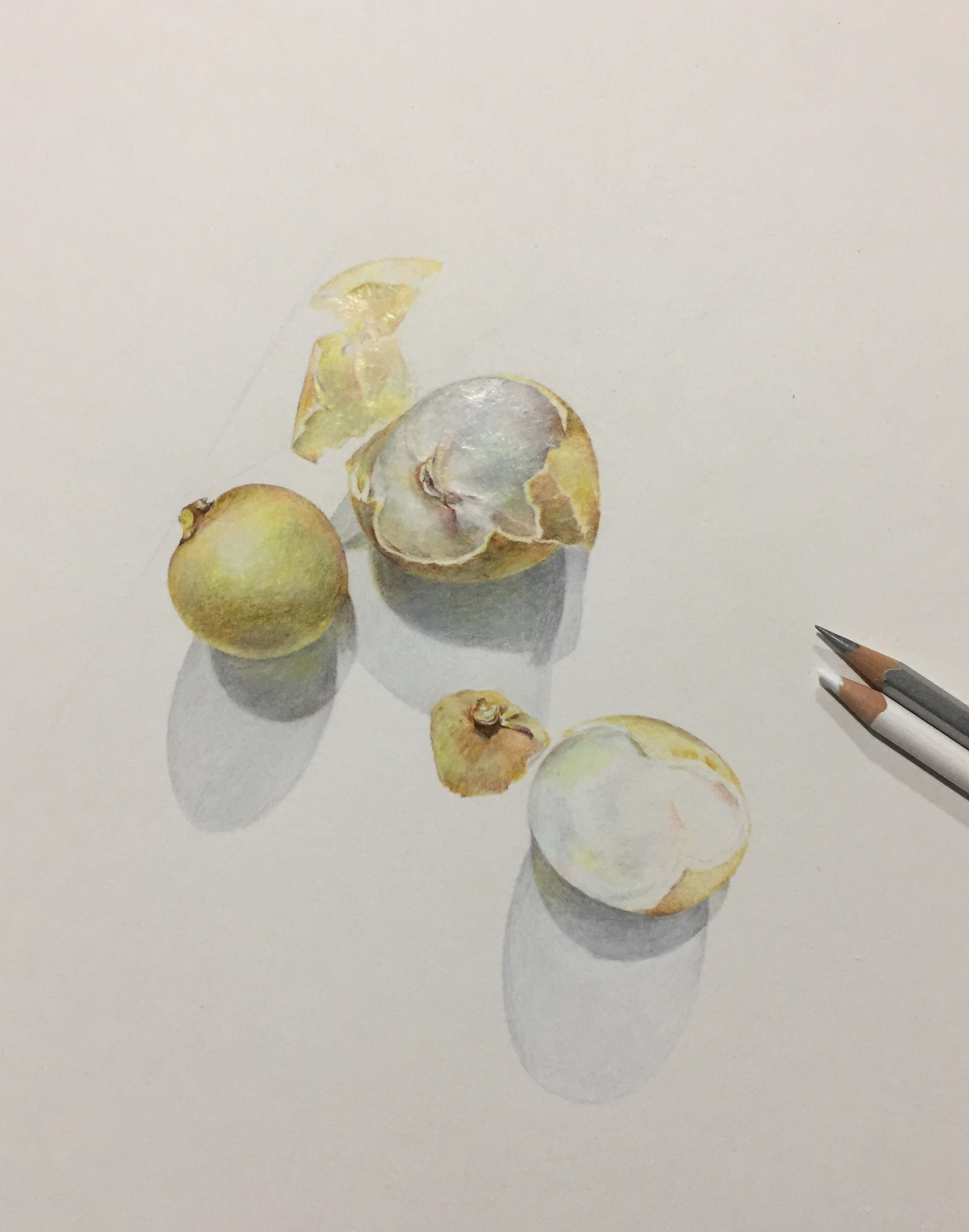 纸本彩铅作品--《龙眼》