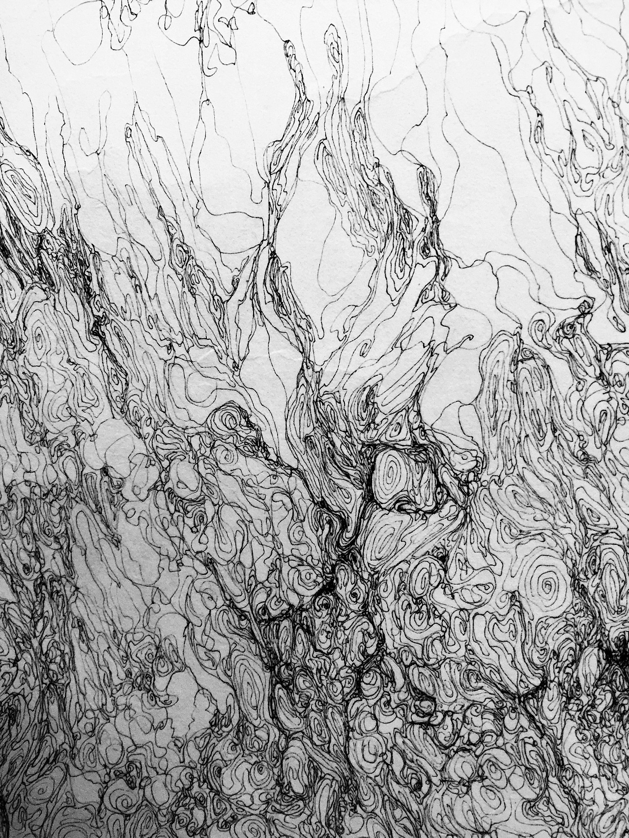 《糊涂系列》之二