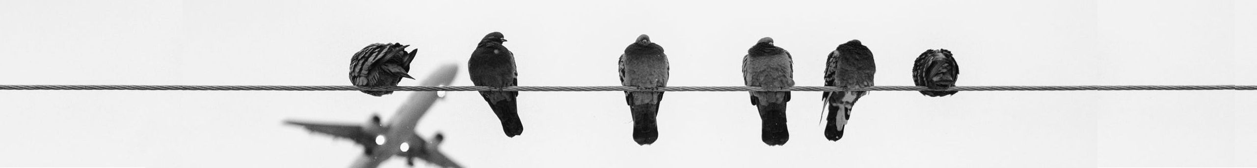 馬糊不得的個人主頁（封面預(yù)覽） - 主頁封面設(shè)置 - 站酷設(shè)計師馬糊不得原創(chuàng)素材 - 站酷ZCOOL