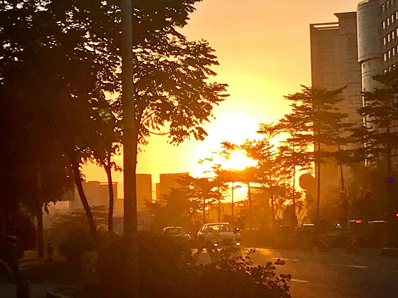 黄昏（图ZMzExNzU5MjMy） - 海报 - 站酷设计师佩琪爱吃帕尼尼原创素材 - 站酷ZCOOL