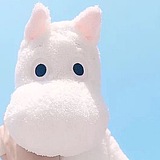舒尔的头像