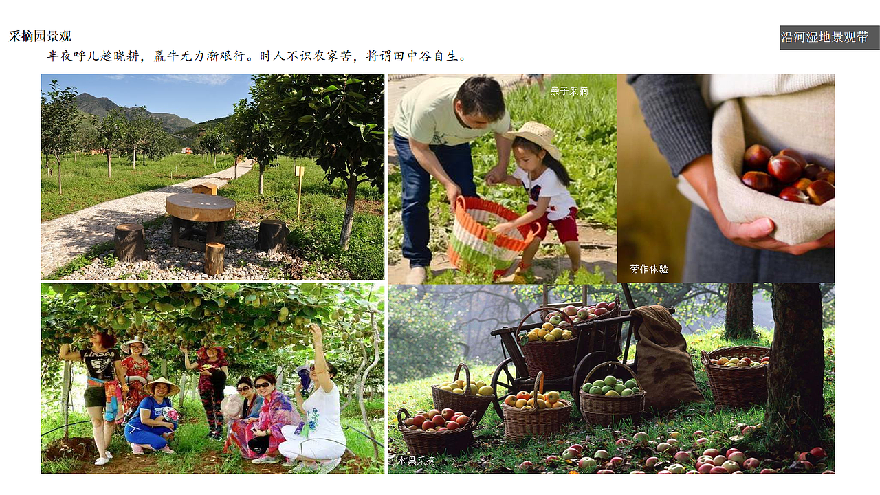 做的第一个美丽乡村的文本（图ZMTg0NjU4MDUy） - 景观设计 - 站酷设计师蒋荣荣原创素材 - 站酷ZCOOL