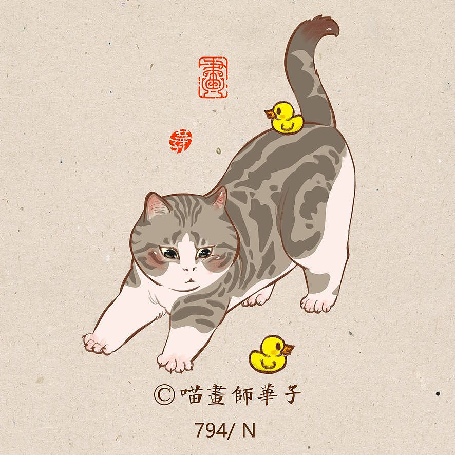 画猫的第三季150天,837天的画猫纪录