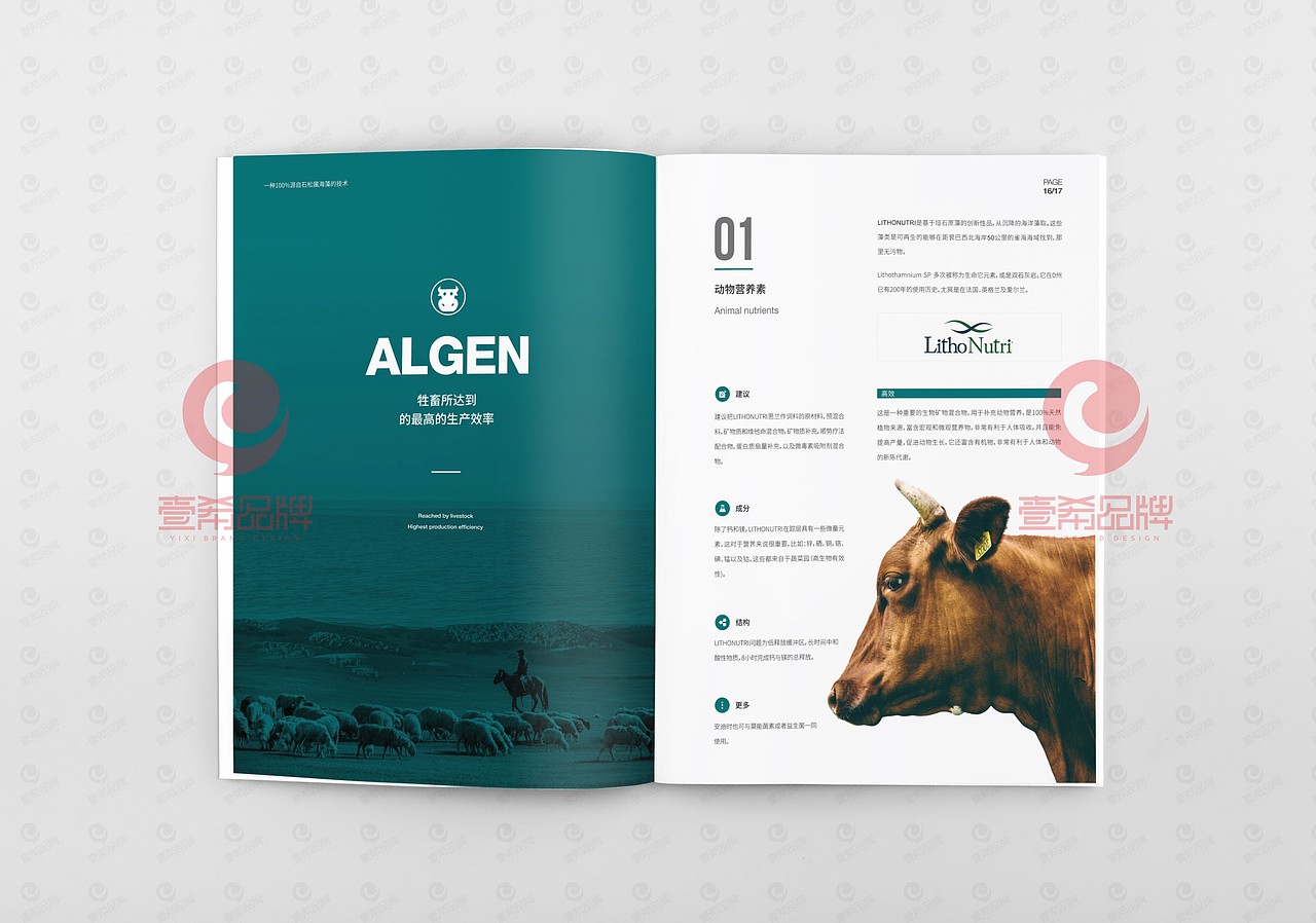 一希品牌设计--农业海藻科技公司画册宣传册设计（图ZMjA3ODExMTg0） - 书籍/画册 - 站酷设计师一希品牌设计原创素材 - 站酷ZCOOL