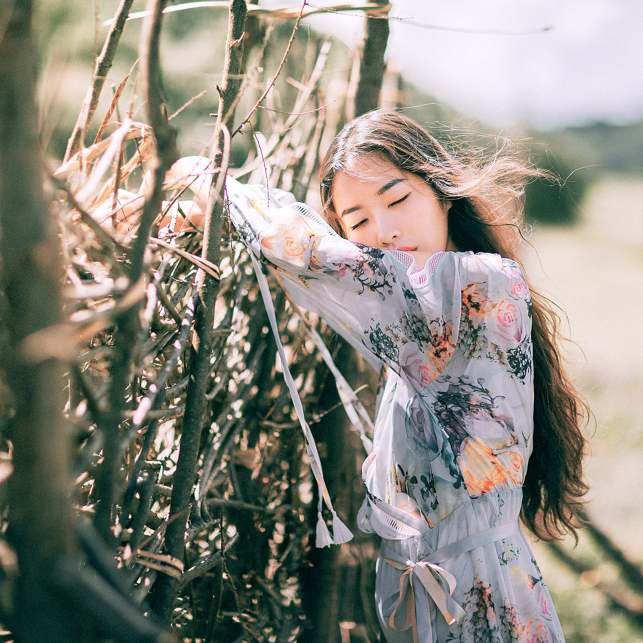 旋覆花盛开的山坡