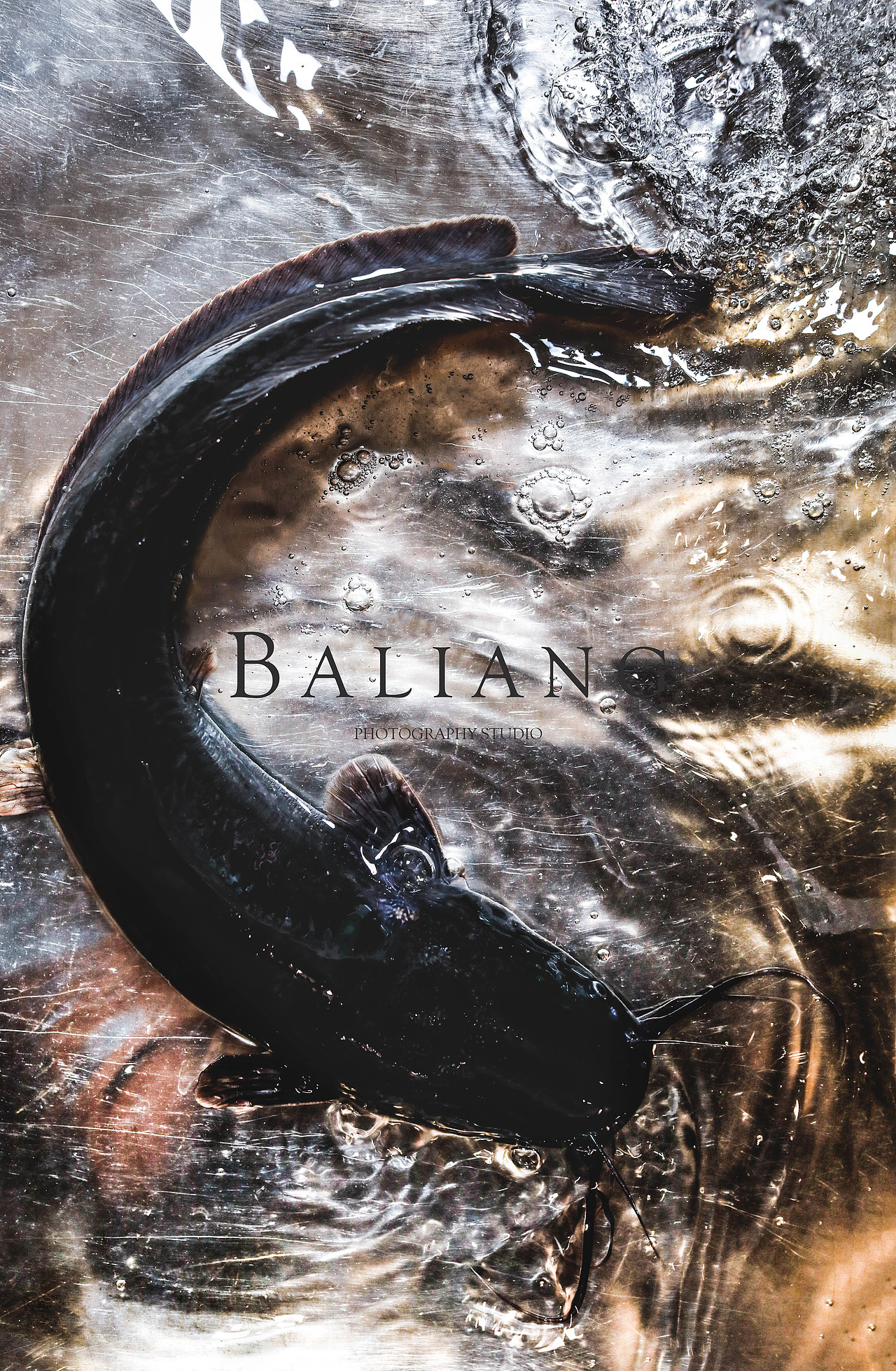 蜀滋香鲜鱼火锅