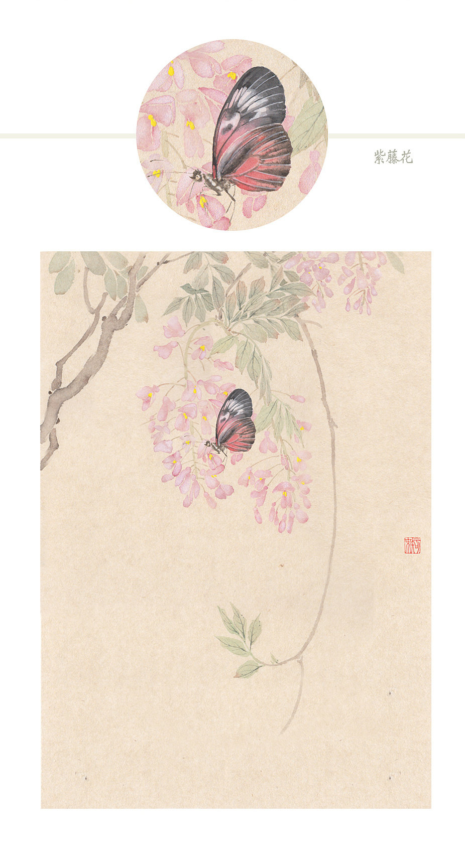 一组没骨蝴蝶(附蝴蝶出现过程)|纯艺术|绘画|知末 - 原创作品 - 站酷