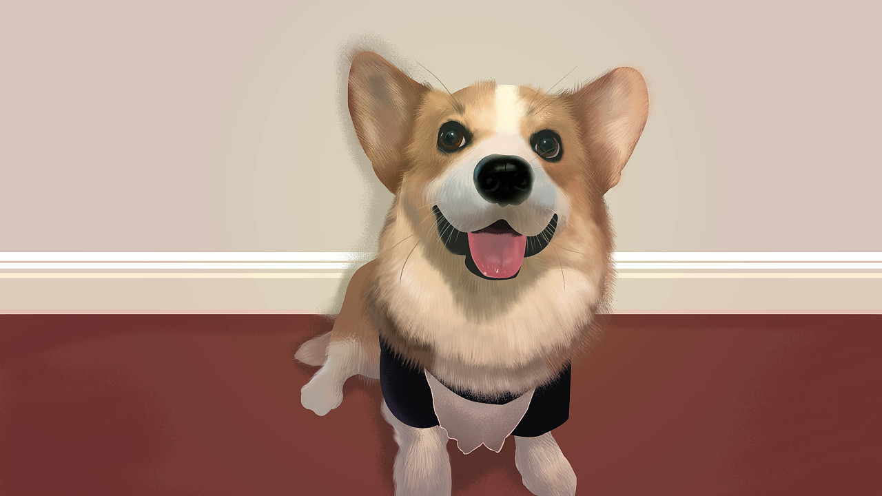 宠物- 原创作品 - 站酷(zcool)