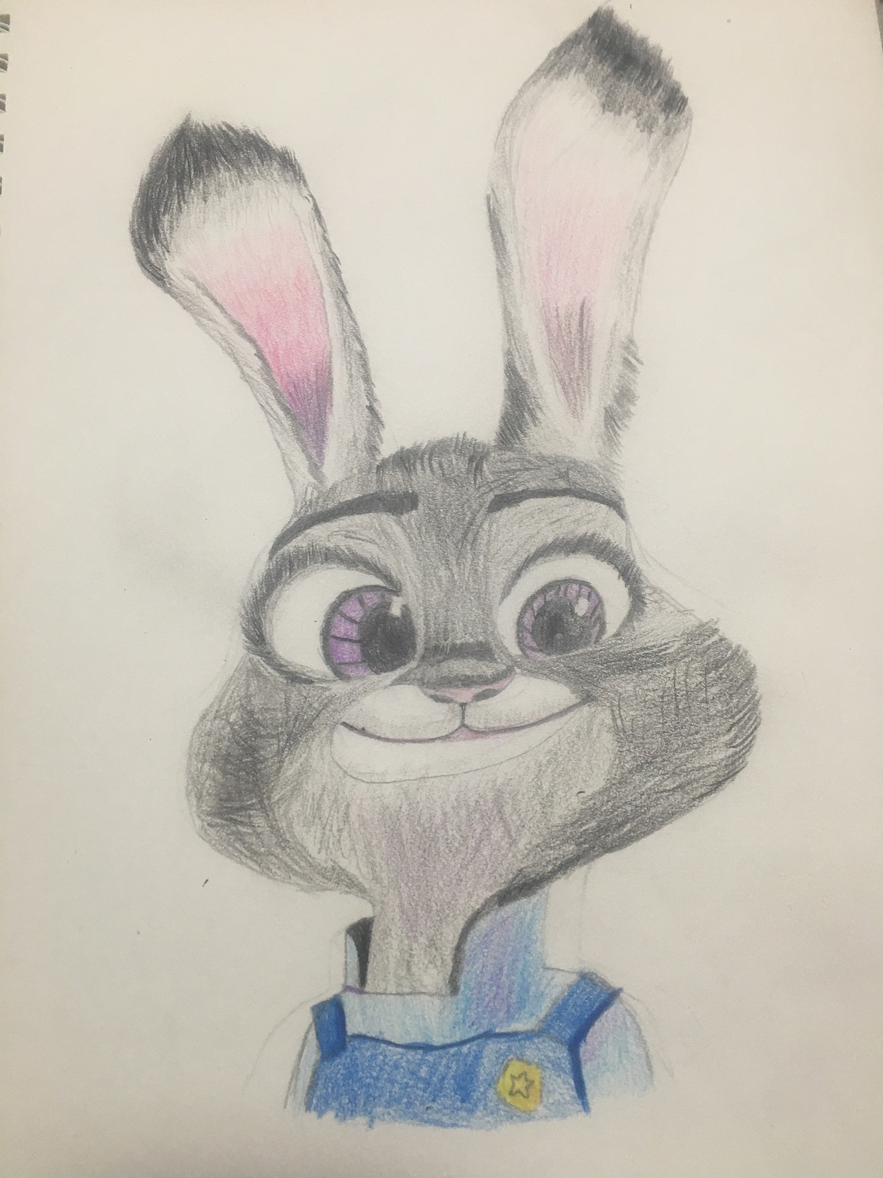 疯狂动物城朱迪