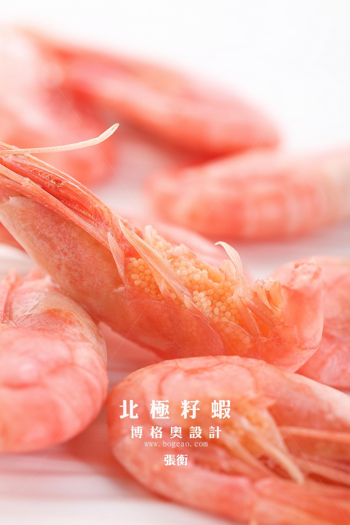 白虾拍摄|摄影|静物|名揚mingyang - 原创作品 - 站酷 (ZCOOL)