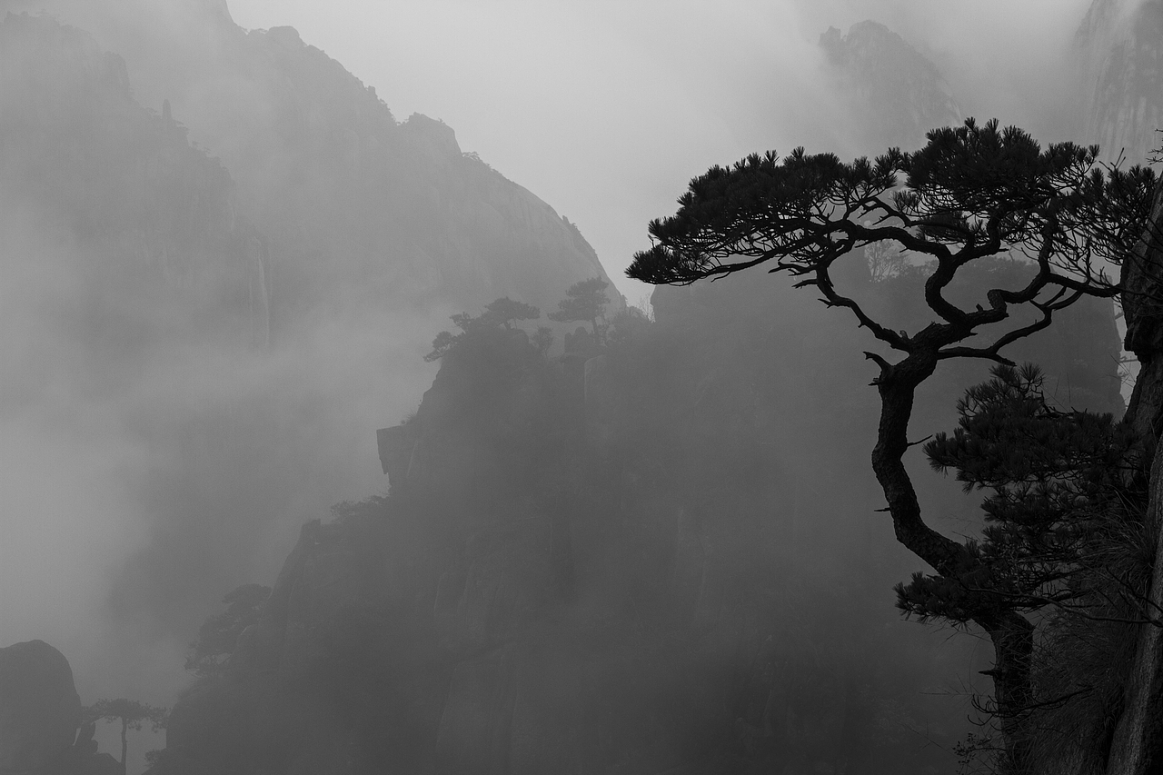 张少伟摄影作品整理