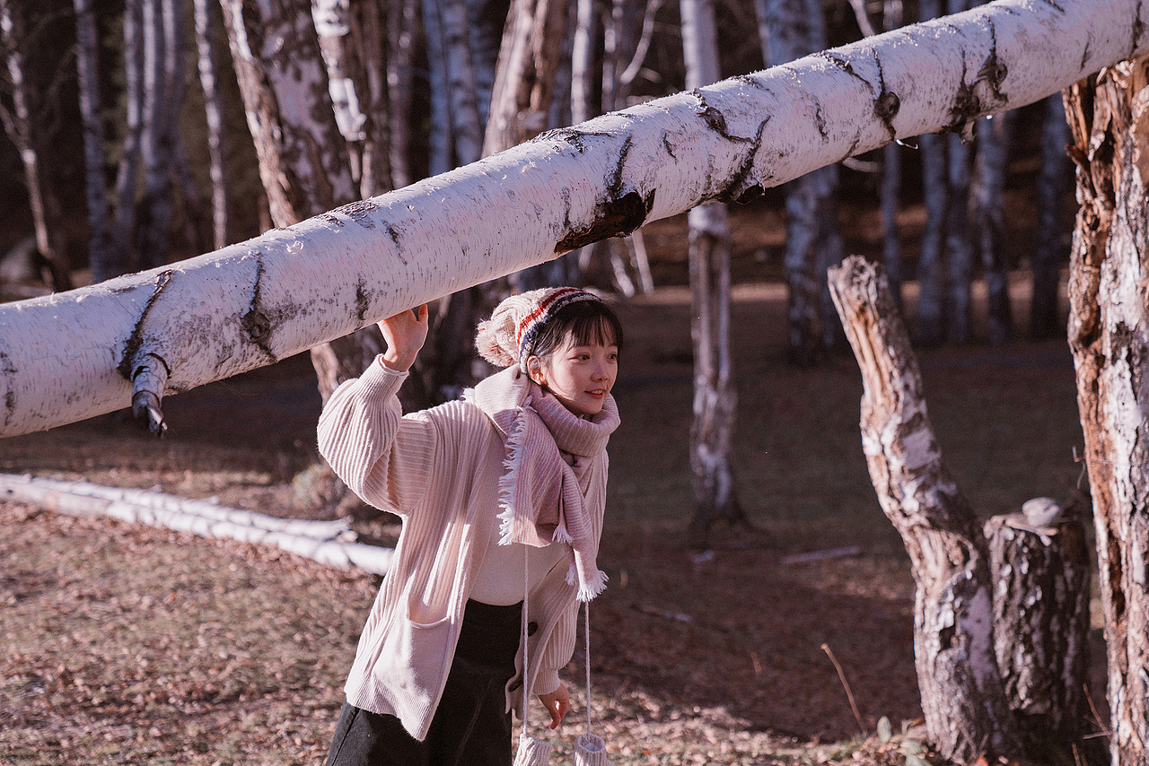 白桦林（和自己有关的故事）