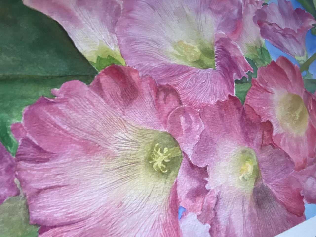 水彩静物风景花卉合集