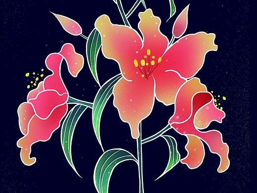 植物插画