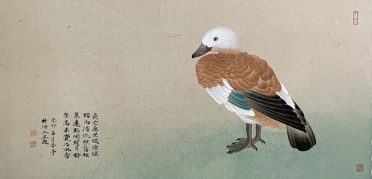 《秀羽写生系列》