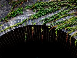 那年冬日，江南隨拍