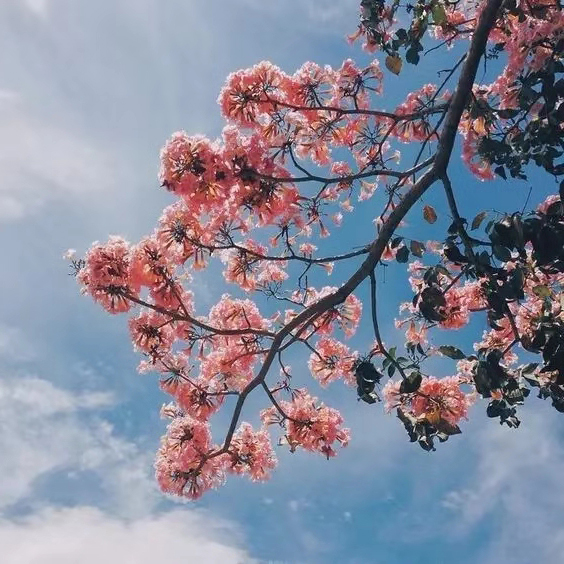 LSL蠟筆不小新的個(gè)人主頁（背景預(yù)覽） - 主頁背景設(shè)置 - 站酷設(shè)計(jì)師LSL蠟筆不小新原創(chuàng)素材 - 站酷ZCOOL