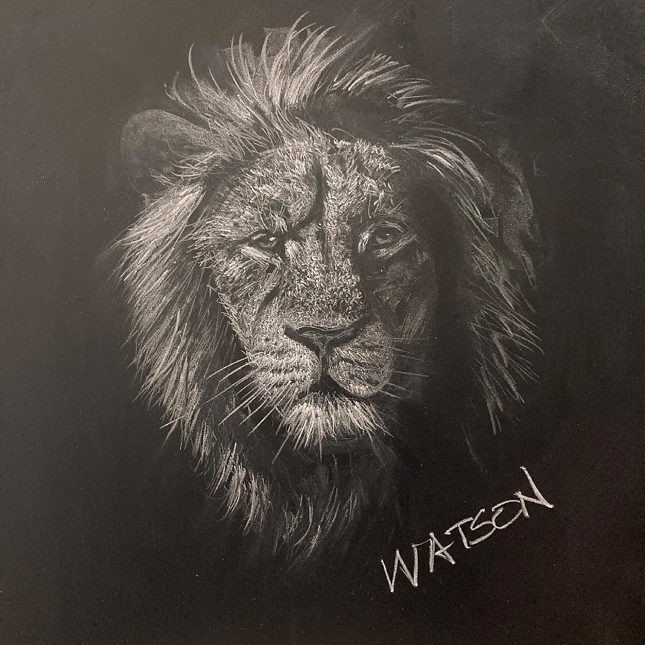 黑板粉笔画狮子王