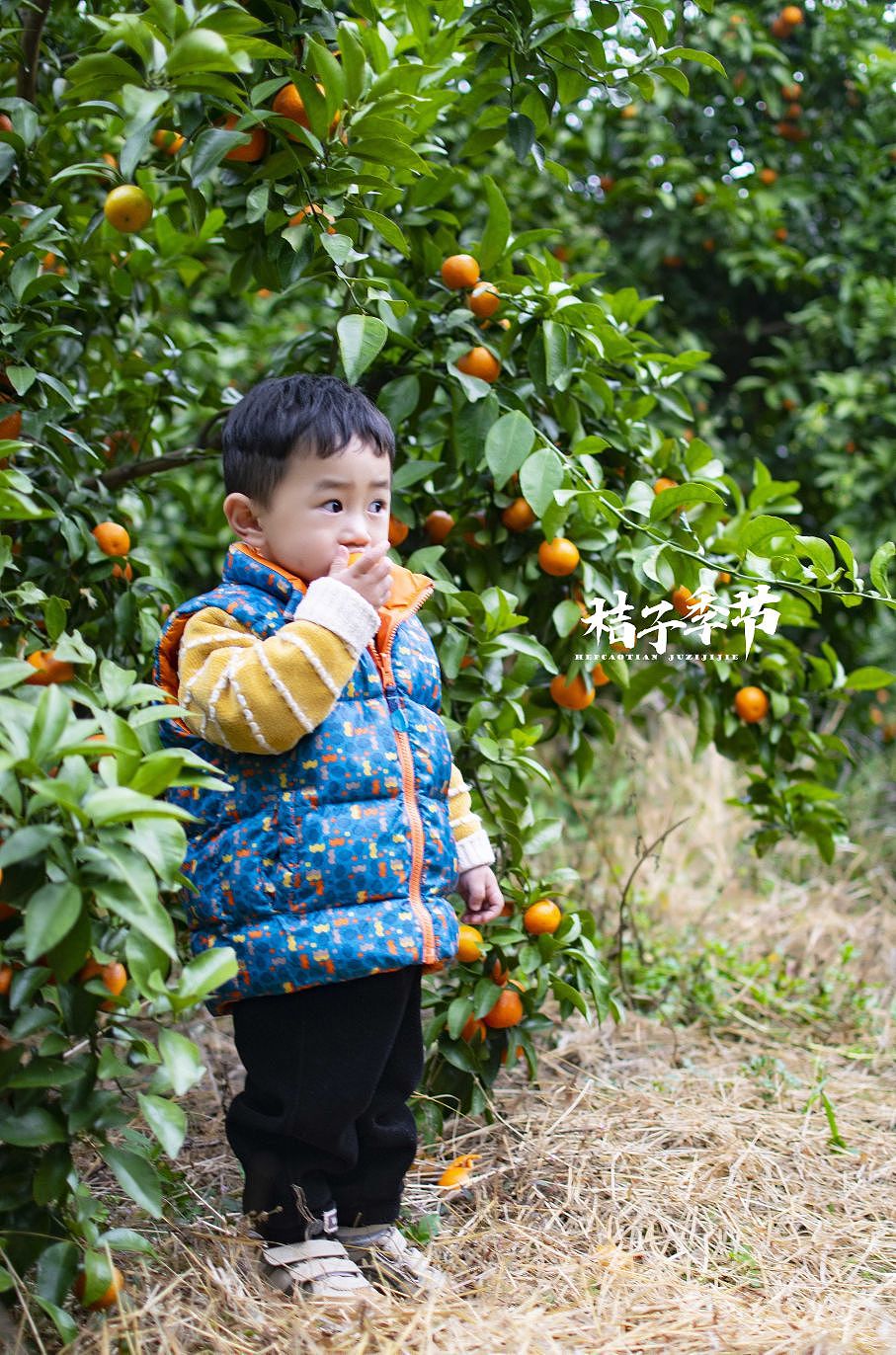 砂糖橘🍊🍊🍊🍊