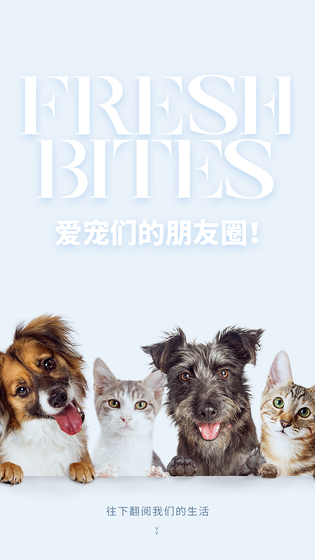 【法贝滋推文设计】这一期尝试做了一下动图