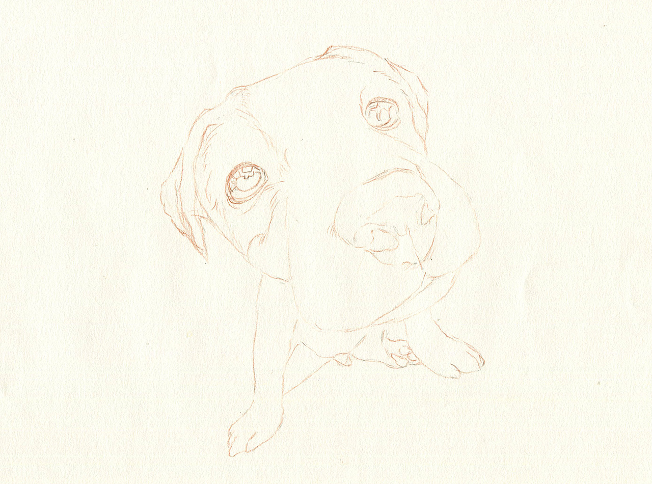 彩铅狗狗——杰克罗素梗犬（图ZMzU5NDk5NzI=） - 绘画 - 站酷设计师箐莜菲菲原创素材 - 站酷ZCOOL