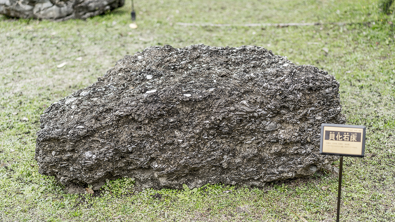 馆外有很多这样的石头，雕塑、石碑等
