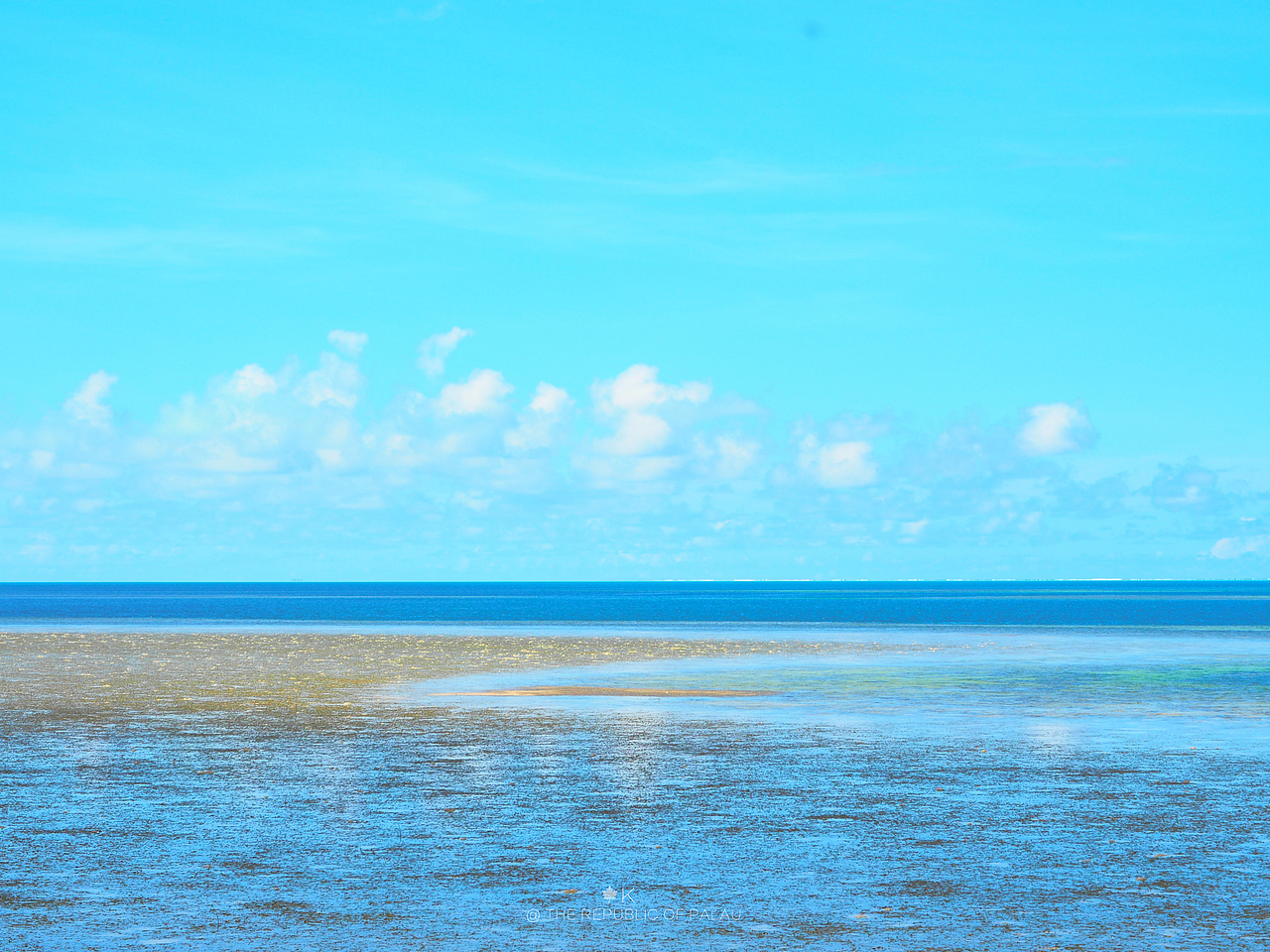 帕劳共和国旅拍