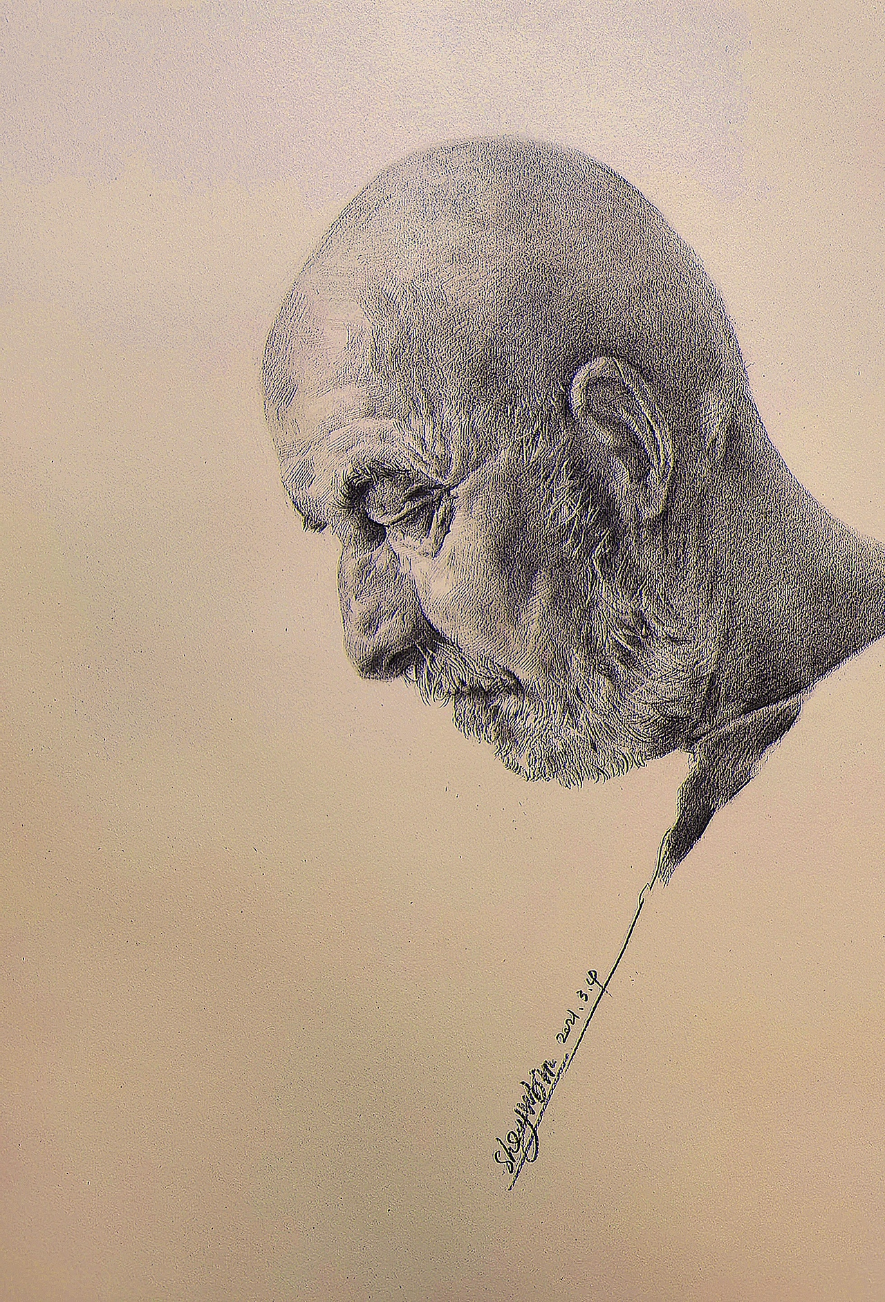 老年素描头像合集