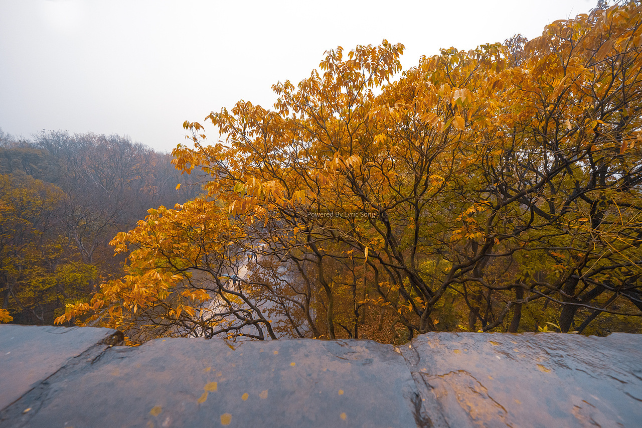 南京之行（图ZMTg4NzI5NjUy） - 风光摄影 - 站酷设计师摄影师大Q原创素材 - 站酷ZCOOL