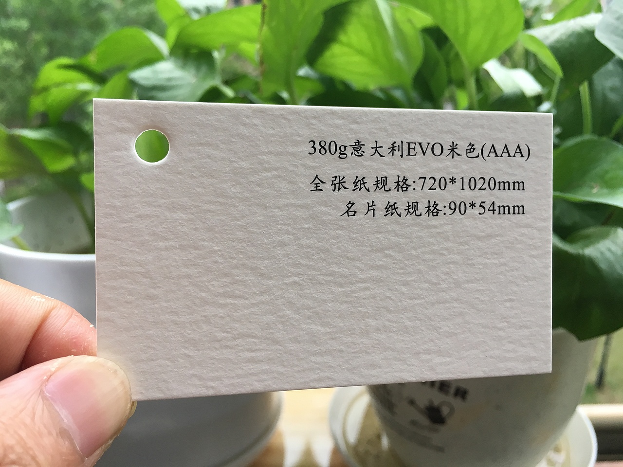 2019款特种纸艺术纸实物展示样册