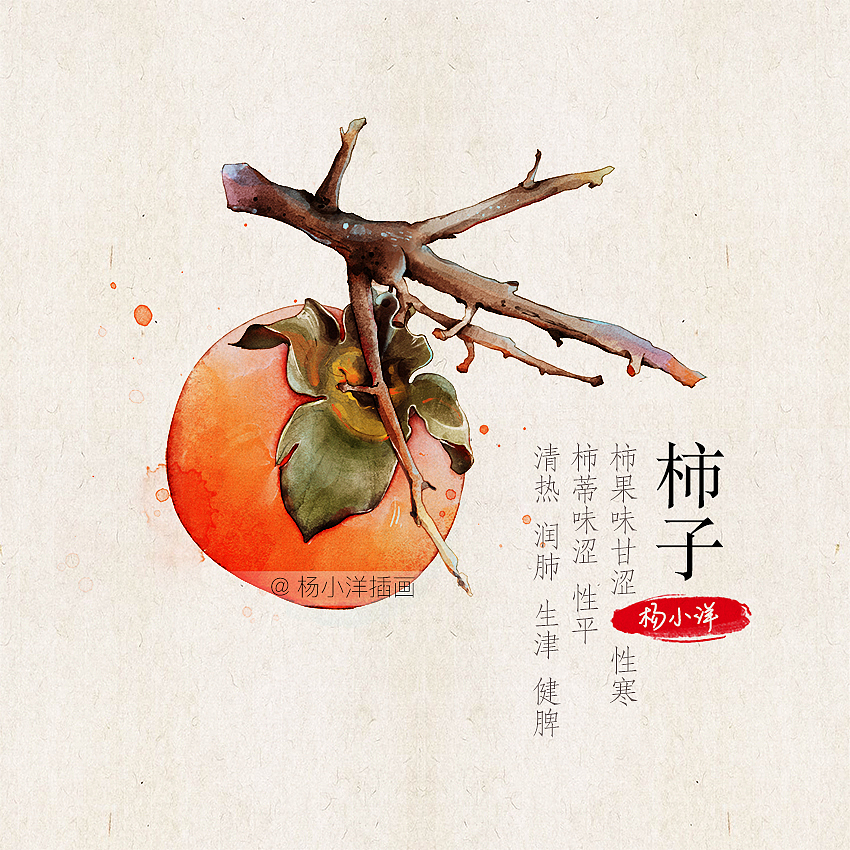 边走边画 | 果实（图ZMTMxODk3NTU2） - 创作习作 - 站酷设计师杨小洋插画原创素材 - 站酷ZCOOL